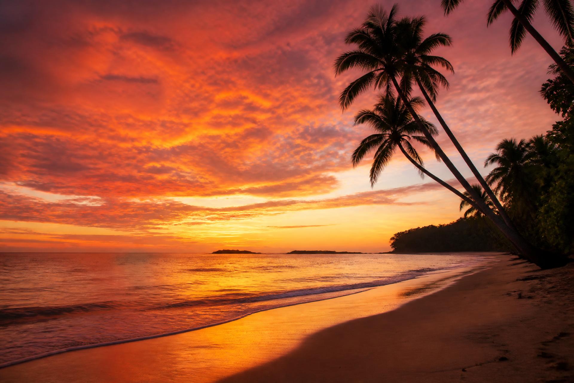 Palm trees silhouetted against a fiery sunset over the beach at Playa Hermosa, Puntarenas, Costa Rica